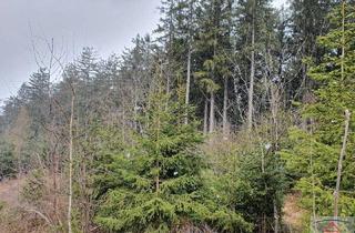 Gewerbeimmobilie kaufen in 3830 Waidhofen an der Thaya, Schöner Wirtschaftswald mit ca. 17 Hektar!