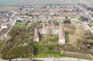 Immobilie kaufen in 2274 Rabensburg, Historisches Anwesen mit weitläufigem Grundstück!