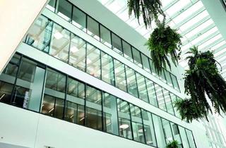 Büro zu mieten in Promenade, 4020 Linz, Ihr neues Büro in den Promenaden Galerien