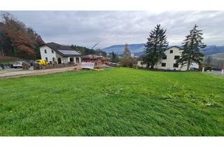 Grundstück zu kaufen in 4441 Badhof, Attraktives Baugrunstück mit wenigen Nachbarn!