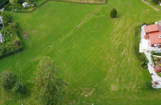 Grundstück zu kaufen in Mitten Im Naturpark Mürzer Oberland, 8692 Krampen, Sonniger Baugrund in Ruhelage
