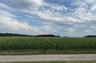 Immobilie kaufen in Neulengbach, 3041 Großgraben, Acker- und Waldfläche mit rund 3,8 ha