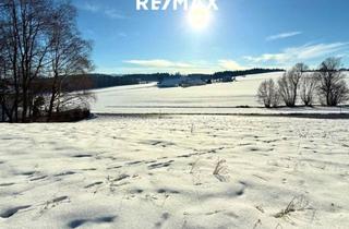 Grundstück zu kaufen in 4841 Ungenach, Großzügiges Grundstück in sonniger Lage - kein Bauzwang