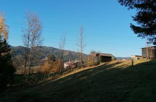 Grundstück zu kaufen in 8661 Wartberg im Mürztal, Vielseitiges Grundstück in idyllischer Lage südlich von Wartberg