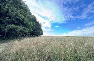 Agrarfläche kaufen in 3041 Asperhofen, Land- und forstwirtschaftliche Fläche