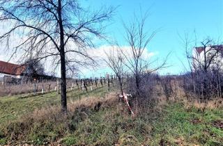 Grundstück zu kaufen in 7122 Gols, Großzügiges Grundstück mit möglichem Seeblick in Gols – Ihre Chance auf ein besonderes Zuhause