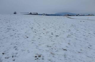 Gewerbeimmobilie kaufen in 5211 Friedburg, Landwirtschaftlicher Nutzgrund ca. 2,5 ha