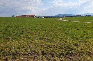 Gewerbeimmobilie kaufen in 5211 Friedburg, Landwirtschaftlicher Nutzgrund ca. 2,5 ha