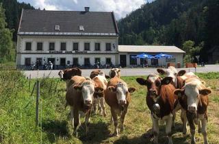Gewerbeimmobilie kaufen in Wegscheid, 8630 Mariazell, Gasthof in touristischer Top-Lage im Mariazellerland