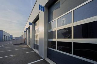 Büro zu mieten in 4501 Neuhofen an der Krems, Hallen zu vermieten in Neuhofen an der Krems