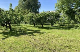 Grundstück zu kaufen in 7400 Oberwart, Zentrum Oberwart: Bauland-Geschäftsgebiet