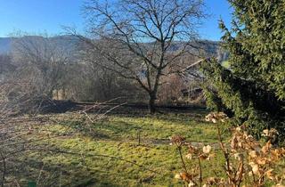 Grundstück zu kaufen in 4893 Zell am Moos, Grundstück in Bestlage Zell am Moos