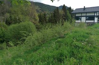 Grundstück zu kaufen in 8685 Steinhaus am Semmering, Grundstück in Steinhaus am Semmering