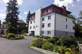 Wohnung mieten in Waidhofnerstraße 25a/1, 3812 Groß-Siegharts, barrierefreie Wohnung in Groß Siegharts