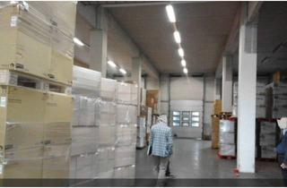 Büro zu mieten in 2351 Wiener Neudorf, Lagerfläche / Produktionsfläche, Anlieferung über Rampen oder ebenerdig, Büro, Stellplätze