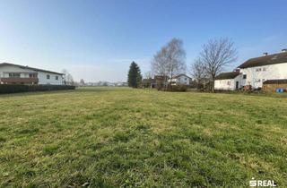 Grundstück zu kaufen in 6844 Altach, Tolles Grundstück für Ihr neues Zuhause in ruhiger Lage in Altach