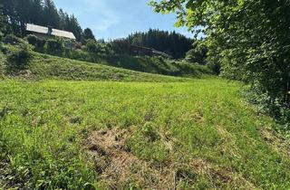 Grundstück zu kaufen in 8624 Au bei Turnau, ***Baugrundstück in idyllischer Lage mit Bachlauf (134/5) – Ihr Traumhaus wartet auf Sie!***