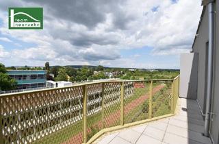 Wohnung kaufen in Gerasdorfer Straße, 1210 Wien, Hervorragende Raumaufteilungen im begehrte Niedrig-Energie-Standard – Grün – grüner – Hirschfeld