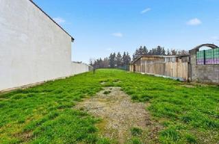 Grundstück zu kaufen in 3550 Langenlois, "Großzügiges Grundstück mit Altbestand"