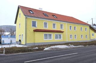 Büro zu mieten in 4731 Prambachkirchen, VERMIETUNG Büro- und Lagerflächen + Vorplatz