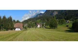Grundstück zu kaufen in 9623 Sankt Stefan an der Gail, Traumhaftes Baugrundstück in idyllischer Lage - in St.Stefan an der Gail