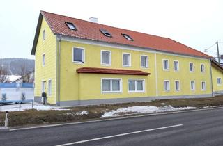 Büro zu mieten in 4731 Prambachkirchen, Vermietung Büro- und Lagerflächen + Vorplatz