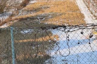 Grundstück zu kaufen in Kellergasse 183, 2103 Langenzersdorf, Rarität ! Attraktives, großzügiges Grundstück am Fuß des Bisambergs !