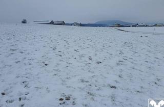 Grundstück zu kaufen in 5211 Friedburg, Landwirtschaftlicher Nutzgrund ca. 2,5 ha