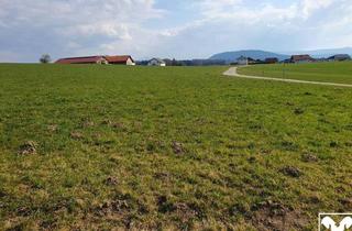 Grundstück zu kaufen in 5211 Friedburg, Landwirtschaftlicher Nutzgrund ca. 2,5 ha