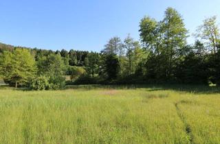 Grundstück zu kaufen in Wörthersee, 9081 Reifnitz, Baugrundstück mit See-Nähe und Vielseitigen Nutzungsmöglichkeiten