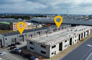 Lager kaufen in 4481 Asten, Betriebs-/Produktions- und Lagerhallen im FE Business Park Asten / St. Florian zu verkaufen (T08)