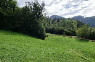 Grundstück zu kaufen in 6713 Ludesch, Herrliche Lage! Baugrundstück in Ludesch!