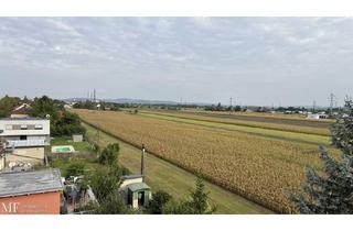 Wohnung kaufen in 2102 Bisamberg, Familienwohnung in Bisamberg