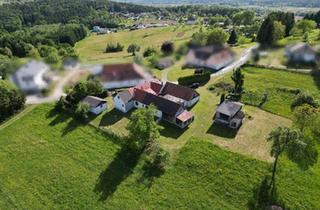 Bauernhäuser zu kaufen in 7572 Deutsch Kaltenbrunn, "DREIKANTHOF" mit ca. 9.436 m² Grund und diversen Nebengebäuden in Ruhelage