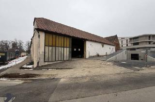 Immobilie mieten in 3441 Judenau, GEWERBELAGER / HALLE MIT FREIFLÄCHE & PARKPLÄTZEN