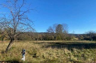 Grundstück zu kaufen in 2821 Lanzenkirchen, Aufgeschlossenes Baugrundstück in Ruhelage! Teilbar!