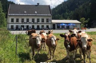 Immobilie kaufen in Wegscheid, 8630 Mariazell, Gasthof in touristischer Top-Lage im Mariazellerland