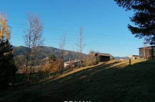 Grundstück zu kaufen in 8661 Wartberg im Mürztal, Vielseitiges Grundstück in idyllischer Lage südlich von Wartberg