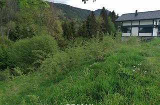 Grundstück zu kaufen in 8685 Steinhaus am Semmering, Grundstück in Steinhaus am Semmering