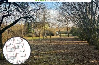 Grundstück zu kaufen in 4211 Alberndorf in der Riedmark, Großzügiges Grundstück in Spattendorf - Gemeinde Alberndorf in der Riedmark (GST 2443/1)