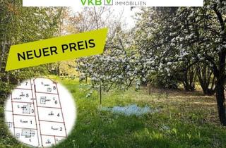 Grundstück zu kaufen in 4211 Alberndorf in der Riedmark, Großzügiges Grundstück nähe Gallneukirchen! - Gemeinde Alberndorf in der Riedmark (GST 2443/1)