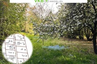 Grundstück zu kaufen in 4211 Alberndorf in der Riedmark, Großzügiges Grundstück nähe Gallneukirchen! - Gemeinde Alberndorf in der Riedmark (GST 2443/1)