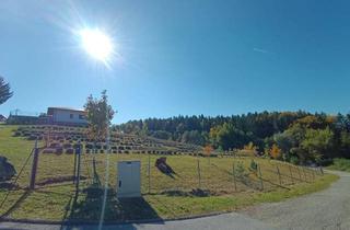 Grundstück zu kaufen in Blickweg, 8570 Voitsberg, Baugrundstück Voitsberg, Kowald
