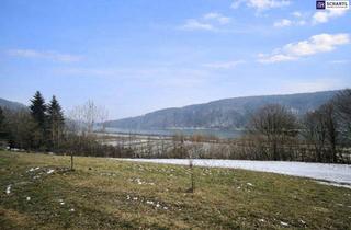 Grundstück zu kaufen in Rottenbergerstraße, 3681 Hofamt Priel, Seltenes Baugrundstück mit genialem Donau-Blick in ruhiger Lage: 2.168 m² für großzügiges Eigenheim oder mit Projektstudie für Wohnbau-Projekt!