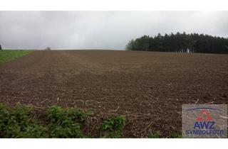 Gewerbeimmobilie kaufen in 2122 Ulrichskirchen, Landwirtschaftliche Flächen!