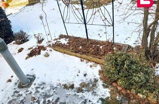 Wohnung mieten in Kefermarkterstraße 7/1, 4293 Gutau, Großzügige Wohnung mit Wintergarten und kleiner Terrasse