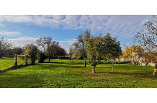 Grundstück zu kaufen in 7091 Breitenbrunn am Neusiedler See, PERFEKT GESCHNITTEN - SÜDOST-AUSRICHTUNG - AUFSCHLIESSUNGSKOSTEN BEZAHLT