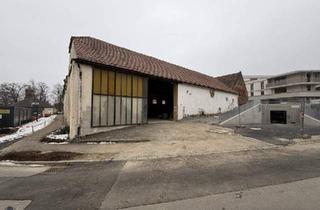 Gewerbeimmobilie mieten in 3441 Pixendorf, GEWERBELAGER / HALLE MIT FREIFLÄCHE & PARKPLÄTZEN