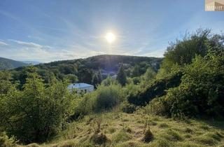 Grundstück zu kaufen in 2372 Gießhübl, Exklusives Grundstück in unvergleichlicher Grünruhelage