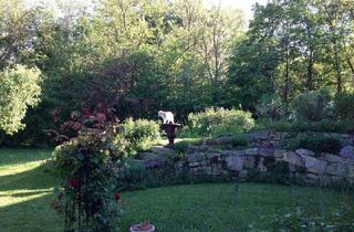 Einfamilienhaus kaufen in 2473 Potzneusiedl, TRAUMLIEGENSCHAFT DIE NATUR VOR DER HAUSTÜR
